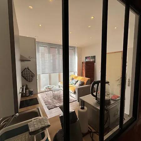 Luminux - 1p A 2p - Henriville Apartment *