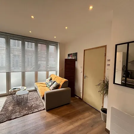 Luminux - 1p A 2p - Henriville Apartment